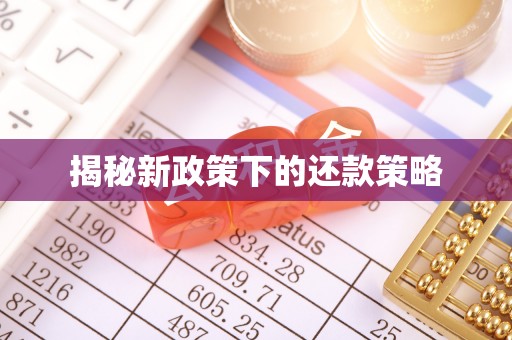 青山湖揭秘新政策下的还款策略