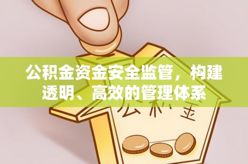青山湖公积金资金安全监管，构建透明、高效的管理体系