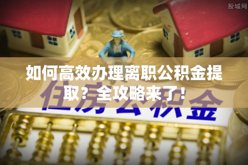 青山湖如何高效办理离职公积金提取？全攻略来了！