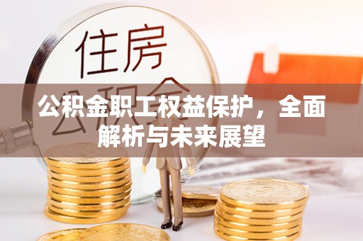 青山湖公积金职工权益保护，全面解析与未来展望