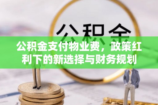 青山湖公积金支付物业费，政策红利下的新选择与财务规划
