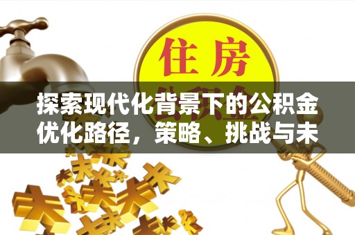 青山湖探索现代化背景下的公积金优化路径，策略、挑战与未来展望