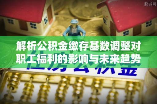 青山湖解析公积金缴存基数调整对职工福利的影响与未来趋势