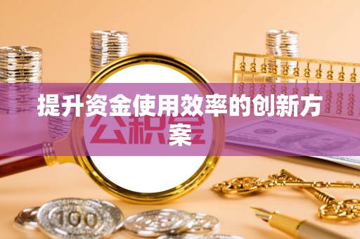 青山湖提升资金使用效率的创新方案