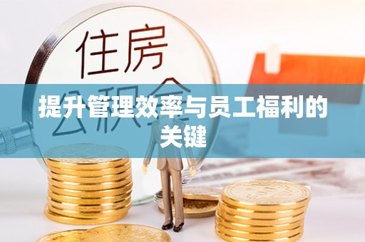 青山湖提升管理效率与员工福利的关键