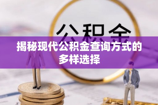 青山湖揭秘现代公积金查询方式的多样选择