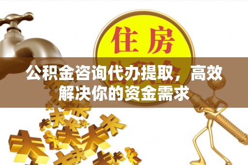 青山湖公积金咨询代办提取，高效解决你的资金需求