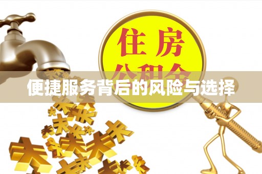 青山湖便捷服务背后的风险与选择