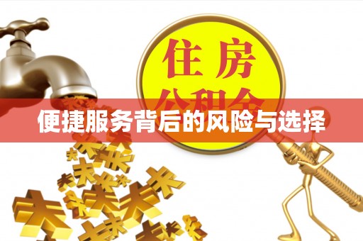 青山湖便捷服务背后的风险与选择