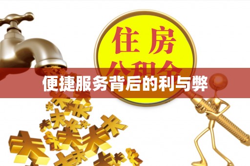 青山湖便捷服务背后的利与弊